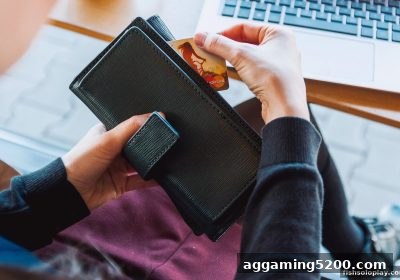 捕鱼达人单机版玩家必读：银行卡转账风险全解析与安全指南