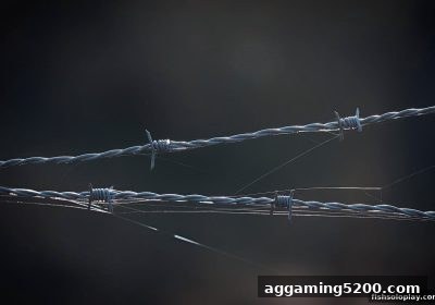 龙虎斗安全全攻略：从捕鱼达人单机版的经验看如何避开线上陷阱