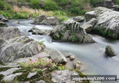 即时比分获取全攻略：从捕鱼达人单机版到专业赛事渠道详解